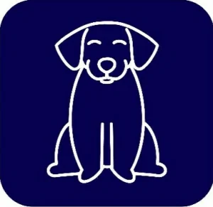Picture of Dog and Accessories Section