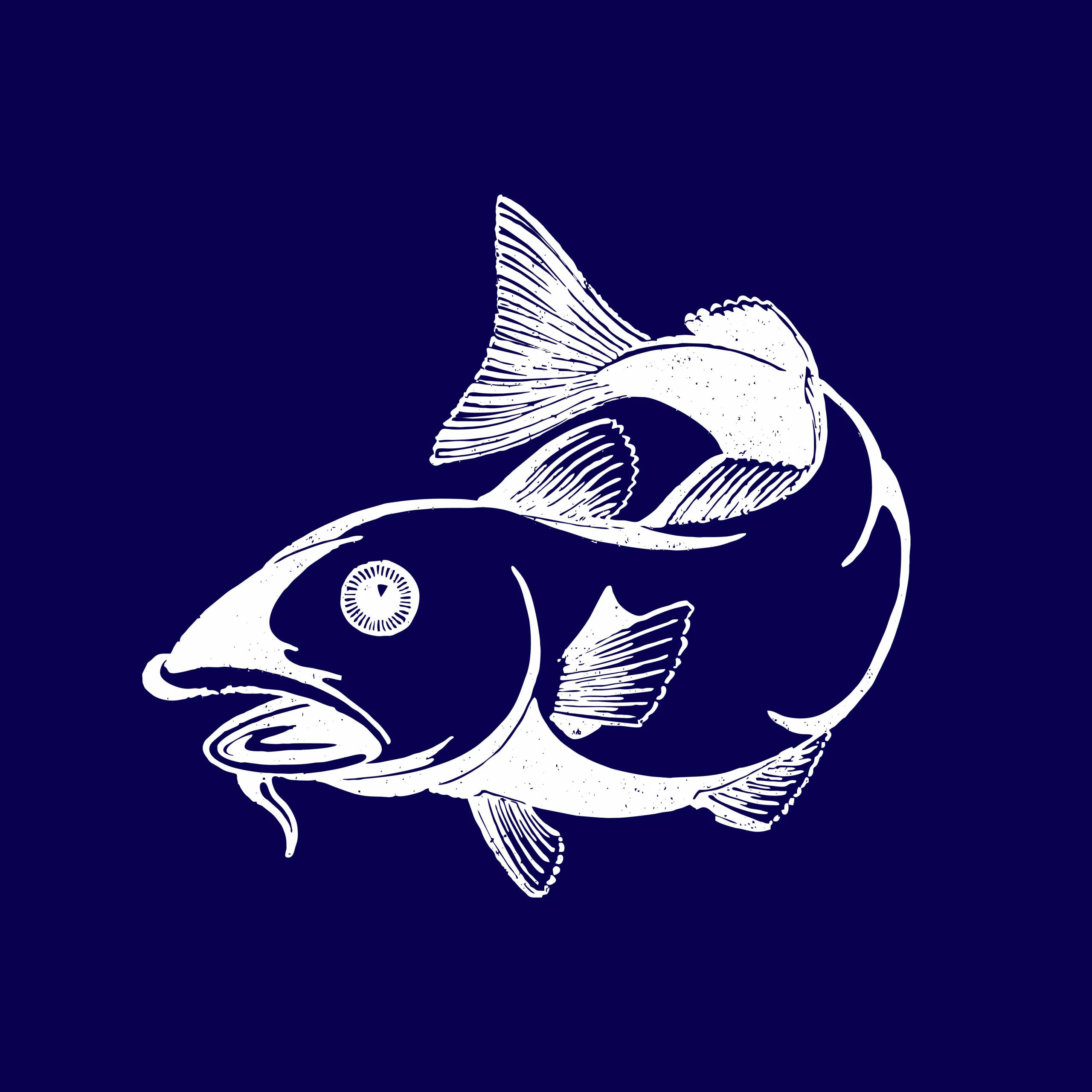 Fish and Accessories Section - Baghbazar Sakher Haat Byabasayee Welfare ...